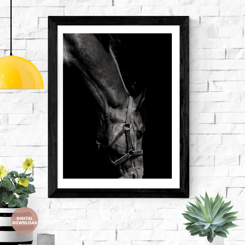 Image result for Monochromatic Horse Art Print - the decorholic
